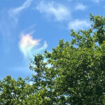 ‘fire-rainbow’-phenom-spotted-in-the-skies-over-nj-and-msg