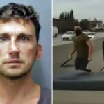 tesla-road-rager-sentenced-to-seven-years-in-prison-after-attacking-mom-and-teen-in-hawaii