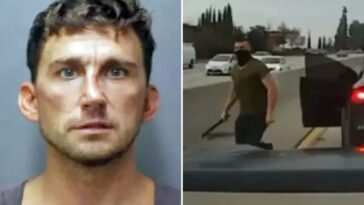 tesla-road-rager-sentenced-to-seven-years-in-prison-after-attacking-mom-and-teen-in-hawaii