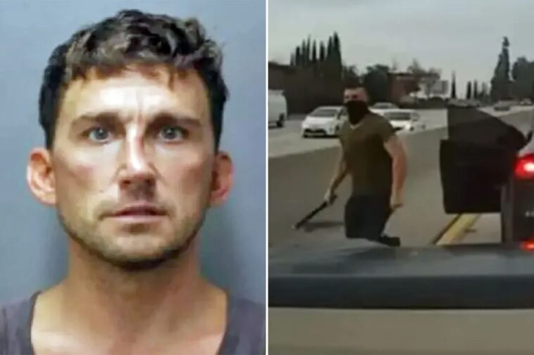 tesla-road-rager-sentenced-to-seven-years-in-prison-after-attacking-mom-and-teen-in-hawaii