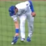 yankees’-aaron-boone-wins-this-trapped-ball-review-after-last-week’s-blowup