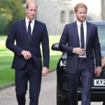 kate-middleton-reached-‘final-straw’-with-prince-harry-after-comment-about-king-charles’-cancer:-author