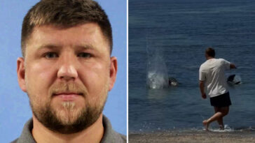 disgusting-package-sent-to-home-of-west-coast-man-who-hurled-huge-rock-at-beloved-hawaiian-seal