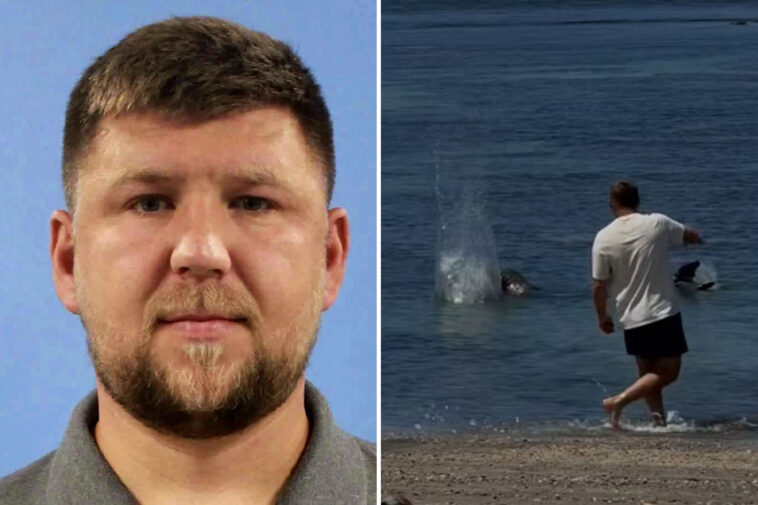 disgusting-package-sent-to-home-of-west-coast-man-who-hurled-huge-rock-at-beloved-hawaiian-seal
