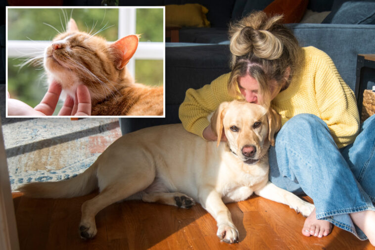 new-jersey-pet-owners-could-cash-in-on-$900-tax-credit-under-new-proposed-bill