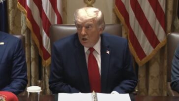 trump-begins-cabinet-meeting-with-victory-lap-on-his-perfect-118-for-118-endorsement-record-after-more-primary-wins-(video)