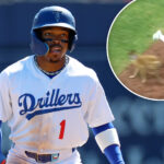 tulsa-drillers,-dodgers-minor-league-team,-suspending-bat-dog-program-after-freak-injury