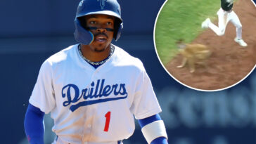 tulsa-drillers,-dodgers-minor-league-team,-suspending-bat-dog-program-after-freak-injury