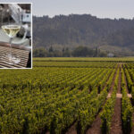 fresh-hell-for-california’s-crippled-wine-industry-as-values-hit-rock-bottom