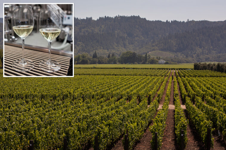 fresh-hell-for-california’s-crippled-wine-industry-as-values-hit-rock-bottom
