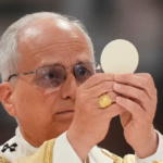 hayward:-pope-leo’s-‘magnifica-humanitas’-—-the-word-became-flesh,-but-can-it-become-code?
