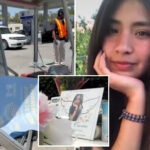 heartbreak-as-bride-to-be,-27,-mowed-down-by-hit-and-run-driver-at-bus-stop