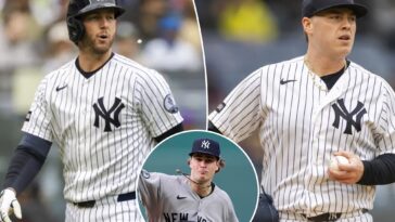the-yankees’-best-and-worst-and-most-surprising-at-season’s-one-third-mark