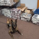 nebraska-k9-sniffs-out-525-pounds-of-cocaine-during-routine-traffic-stop,-leading-to-california-man’s-arrest