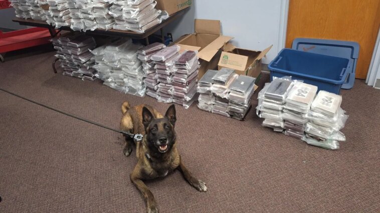 nebraska-k9-sniffs-out-525-pounds-of-cocaine-during-routine-traffic-stop,-leading-to-california-man’s-arrest