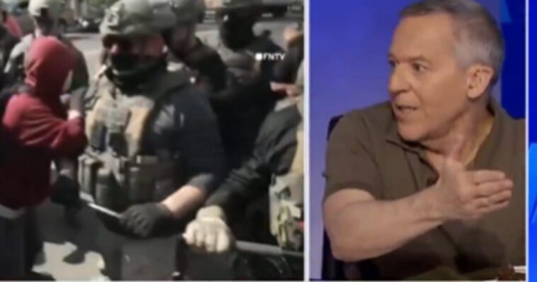 greg-gutfeld-slams-behavior-of-anti-ice-democrats-on-memorial-day:-‘illegal-immigrants-take-priority-over-dead-soldiers’-(video)
