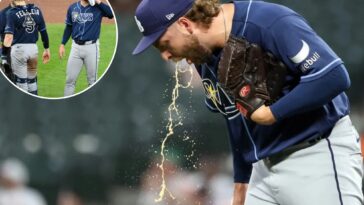 rays-hurler-jonathan-heasley-throws-up-on-field-in-first-mlb-appearance-in-two-years