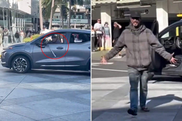 bat-wielding-driver-with-dog-terrorizes-shoppers-in-santa-monica-as-city-struggles-to-control-crime-crisis