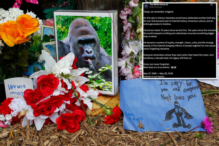white-house-commemorates-‘true-patriot’-harambe-on-what-would-have-been-gorilla’s-27th-birthday-in-bizarre-post:-‘rest-easy’