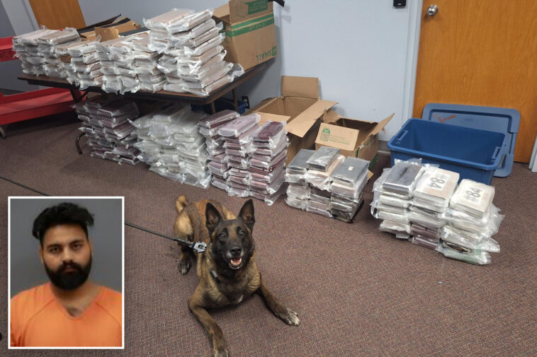 nebraska-k9-sniffs-out-525-pounds-of-cocaine-during-routine-traffic-stop,-leading-to-california-man’s-arrest