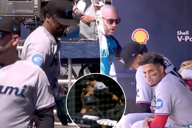 marlins-pitcher-eury-perez-suffers-one-of-the-most-bizarre-injuries-of-mlb-season