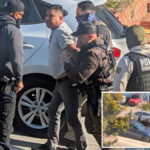 dramatic-moment-masked-ice-officers-drag-suspected-illegal-migrant-from-his-car-at-gunpoint-in-san-francisco