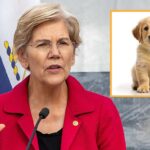elizabeth-warren-vows-new-tax-on-puppies