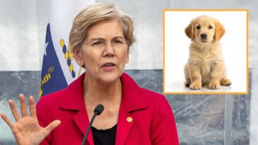 elizabeth-warren-vows-new-tax-on-puppies