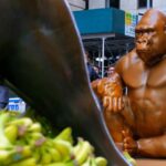 white-house’s-remembrance-of-‘true-patriot’-harambe-sparks-flood-of-responses