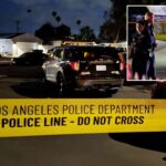 newborn-girl-killed-in-horror-north-hills-murder-suicide-as-identities-of-4-victims-revealed
