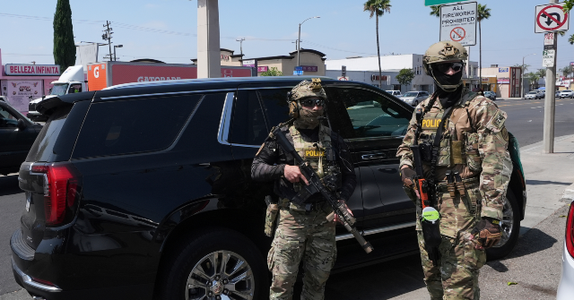 doj-sues-four-states-for-denying-undercover-license-plates-to-ice,-dhs-agents