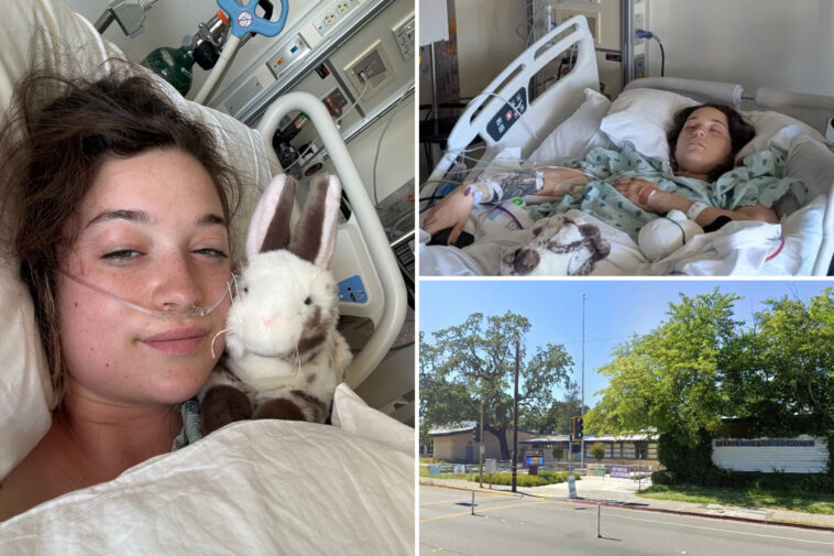 22-year-old-knitter-paralyzed-in-freak-tree-limb-accident