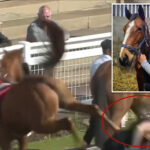 trainer-richard-fahey’s-assistant-gets-brutally-bucked-by-racehorse-—-and-sent-flying-over-the-track-wall