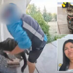 shocking-moment-amazon-delivery-driver-snatches-family’s-beloved-cat-‘junie’-off-doorstep