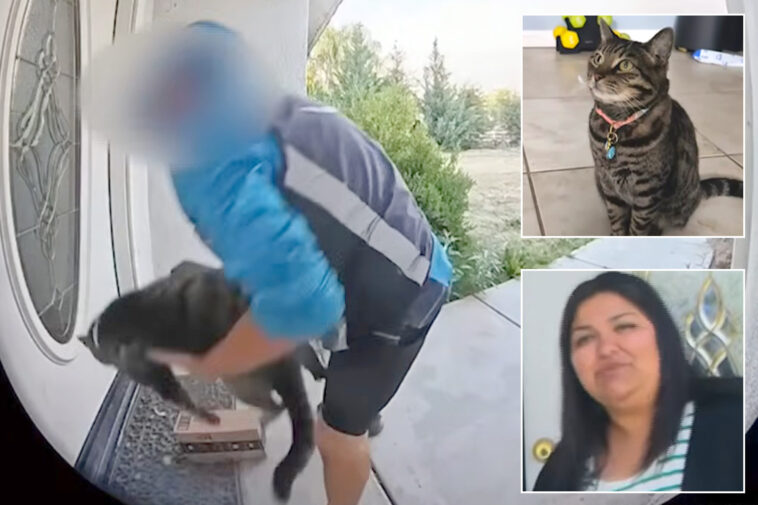 shocking-moment-amazon-delivery-driver-snatches-family’s-beloved-cat-‘junie’-off-doorstep