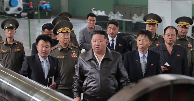 north-korea-says-it-successfully-tested-ai-guided-missile