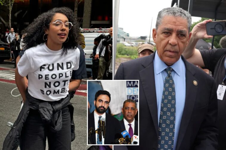mamdani-backs-dsa-endorsed-congressional-candidate-over-longtime-incumbent-adriano-espaillat