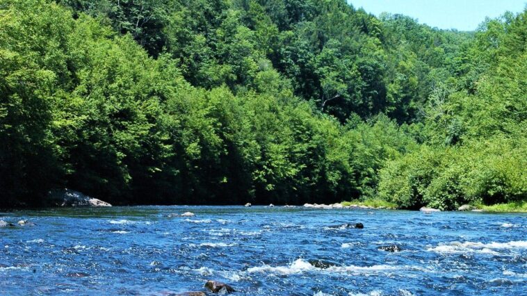 12-year-old-boy-dies-after-raft-capsizes-during-school-trip-in-pennsylvania