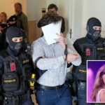 suspect-in-taylor-swift-vienna-concert-attack-plot-convicted-and-sentenced-to-15-years