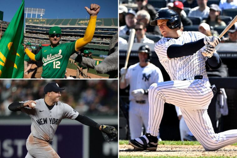 yankees-utilityman-max-schuemann’s-lessons-in-making-the-best-of-an-awkward-situation