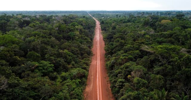 brazil:-socialists-revamp-highway-cutting-through-‘planet’s-lungs’-amazon-rainforest