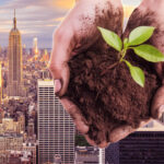 ‘black-gold’:-big-apple-gives-away-5m-pounds-of-compost-produced-from-city’s-recycled-table-scraps