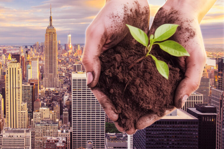 ‘black-gold’:-big-apple-gives-away-5m-pounds-of-compost-produced-from-city’s-recycled-table-scraps
