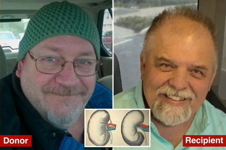 organ-donor-unwittingly-had-rabies-—-and-now-one-kidney-recipient-is-dead-and-others-are-at-risk