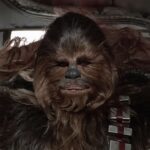 therapist-working-with-chewbacca-on-alternative-coping-mechanisms-besides-pulling-people’s-arms-out-of-socket