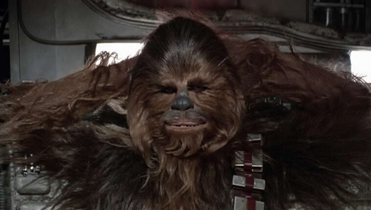 therapist-working-with-chewbacca-on-alternative-coping-mechanisms-besides-pulling-people’s-arms-out-of-socket
