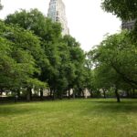 nyc-taxpayers-on-the-hook-for-shocking-$375k-tab—-just-to-replace-2-water-fountains-in-3-years