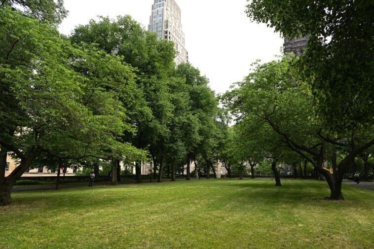 nyc-taxpayers-on-the-hook-for-shocking-$375k-tab—-just-to-replace-2-water-fountains-in-3-years