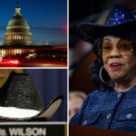 cowboy-hat-wearing-rep.-frederica-wilson,-83,-will-retire-from-congress