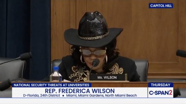 another-aging-dem-calls-it-quits:-83-year-old-rep.-frederica-wilson-announces-she-will-not-seek-reelection-after-health-crisis-forced-prolonged-absence-from-congress